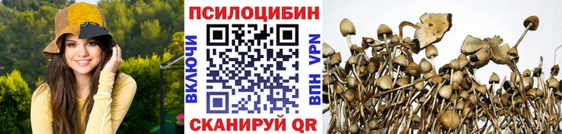 купить закладку  Усолье  Псилоцибиновые грибы прущие грибы 